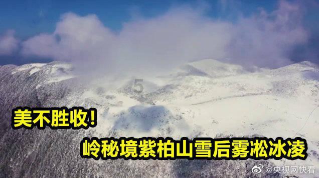 我问女朋友我请的公仔帅不 女朋友回答 不比你帅 你希望我怎么回答你 你希望我回答你他帅？游戏画面