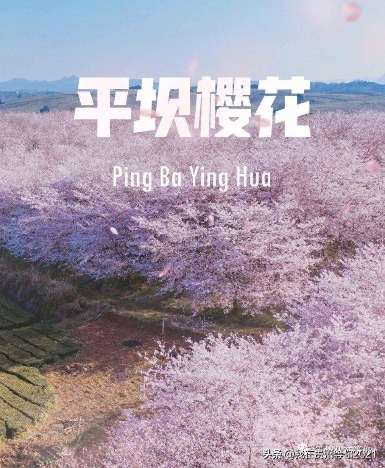 逃离陈旧房3