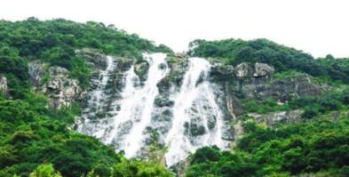 爱丽丝和闺蜜